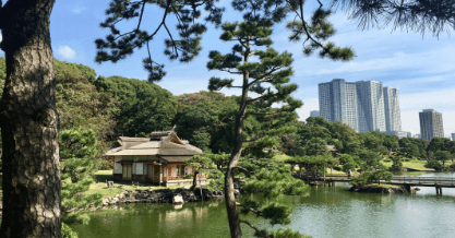 A stunning Japanese garden in Tokyo